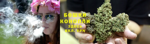 apvp Новозыбков