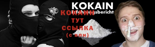 apvp Новозыбков