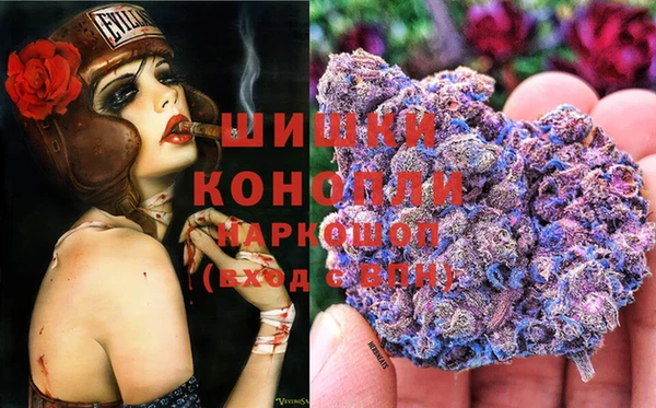 каннабис Новокубанск
