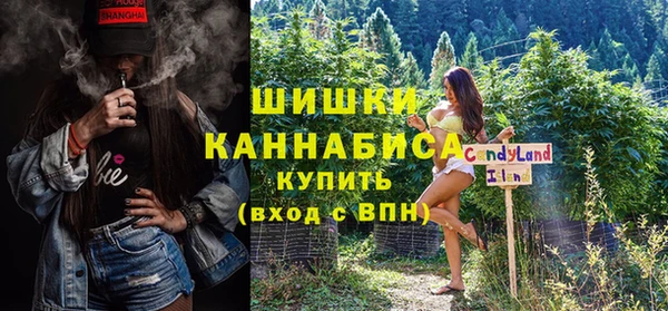 apvp Новозыбков