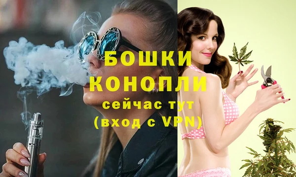 apvp Новозыбков