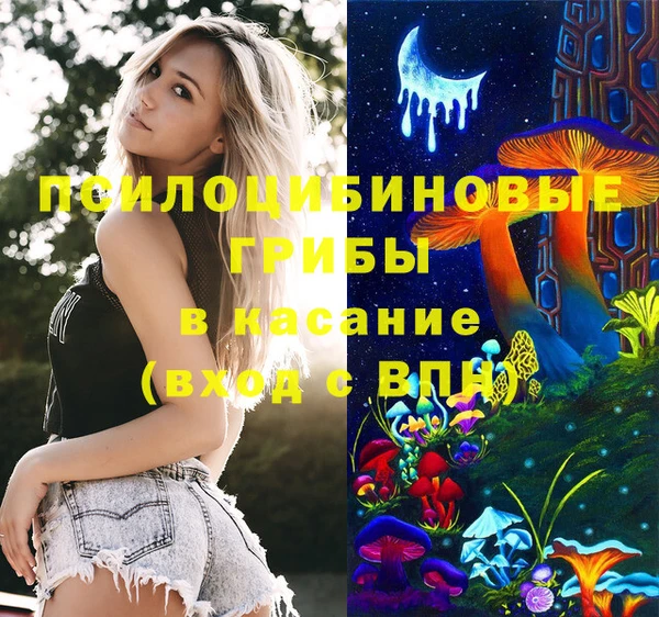 apvp Новозыбков