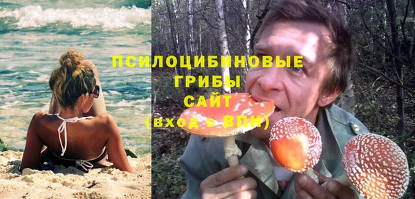 каннабис Новокубанск