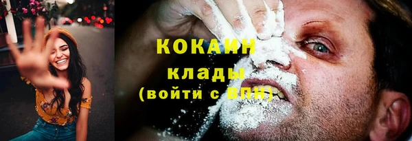 apvp Новозыбков